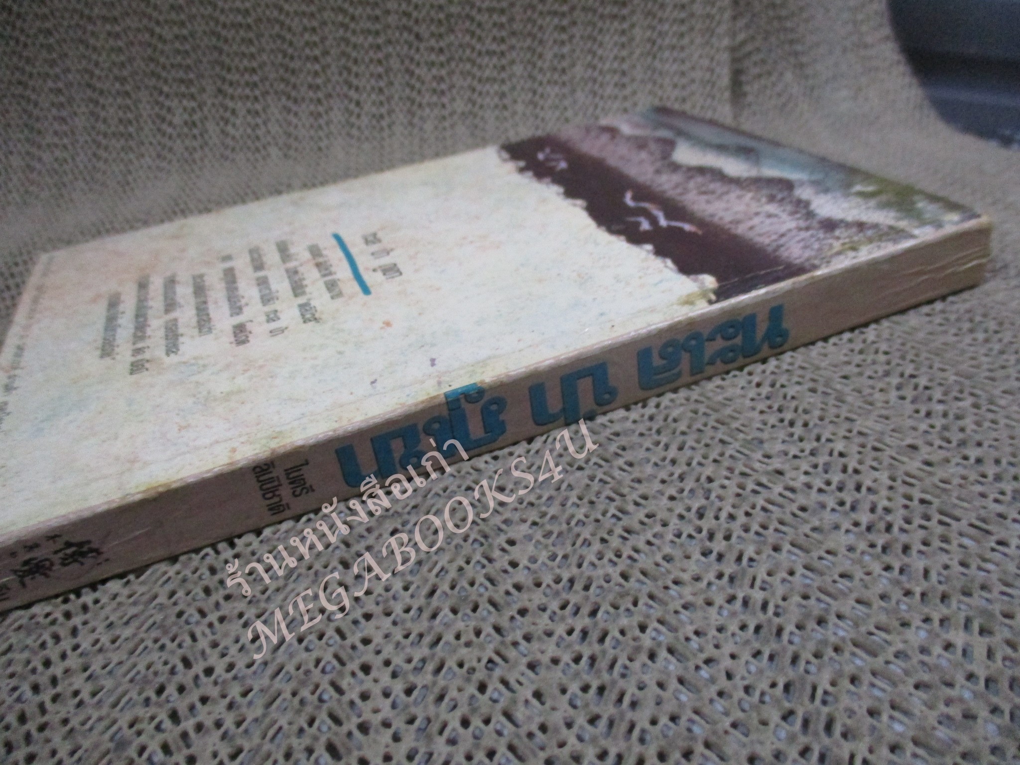 ทะเล ป่า ภูเขา / ไมตรี ลิมปิชาติ / พิมพ์1 2533