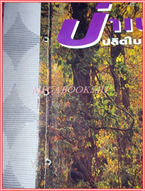 นิตยสารสารคดี ฉบับที่075 พฤษภาคม 2534 ปีที่07 ป่าเปลี่ยนสี จุกแกละโก๊ะเปียทรงผมเด็กวันวาน