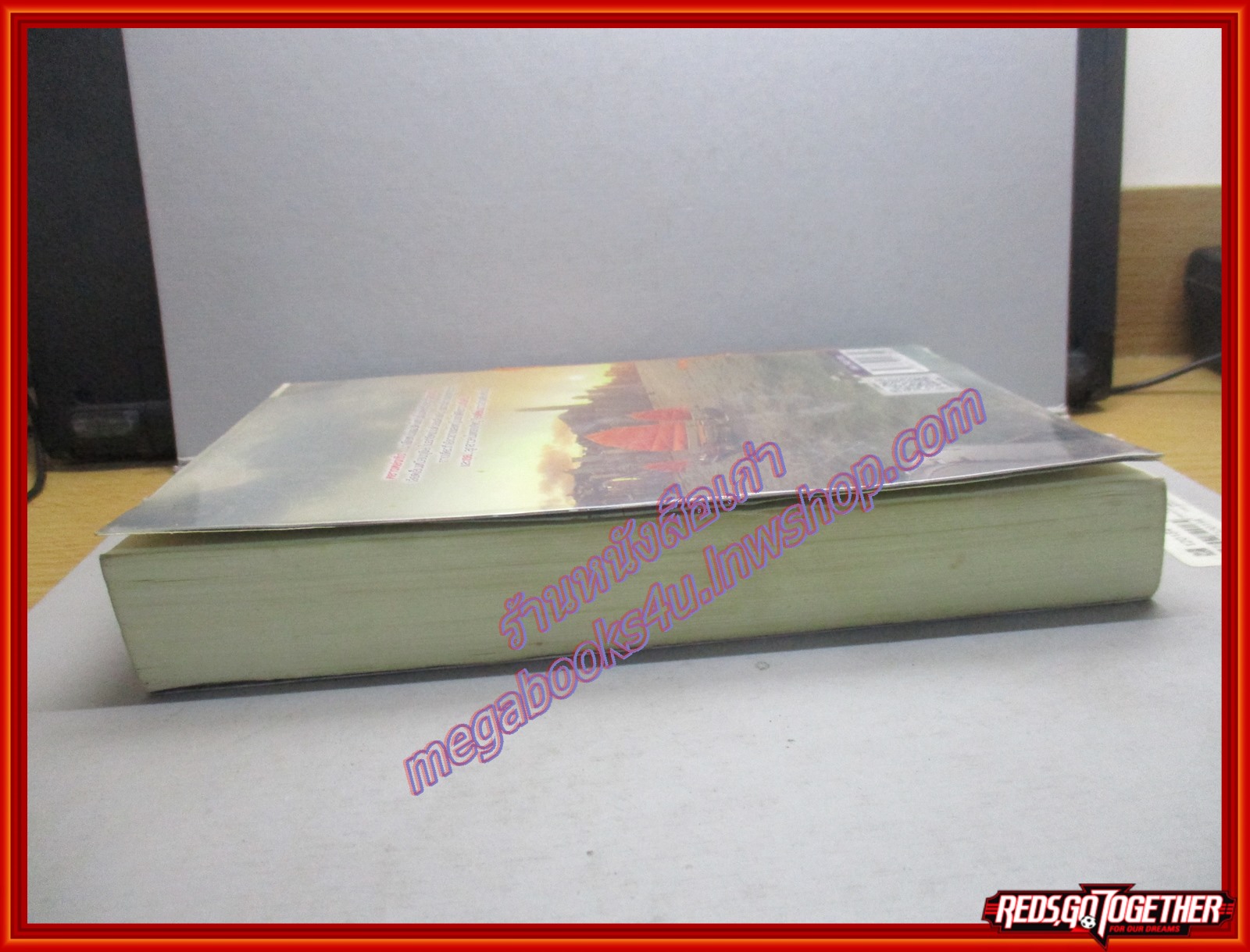 นิยายจากร้านเช่า เชลยรักมาเฟีย/กรวรินทร์/ ivy