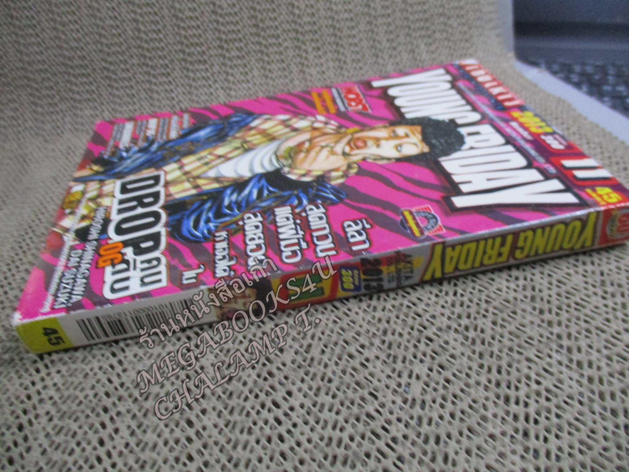 YOUNG FRIDAY Vol.11/300 ปี2013 การ์ตูนรายสัปดาห์