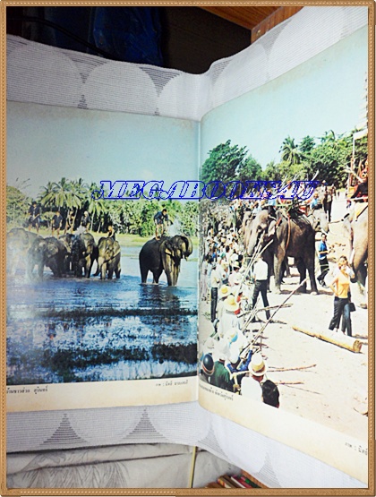 นิตยสาร อ.ส.ท. ฉบับที่04 ปีที่11 พฤศจิกายน 2513 ปกหน้าช้างสุรินทร์ในหมู่บ้านชาวส่วย