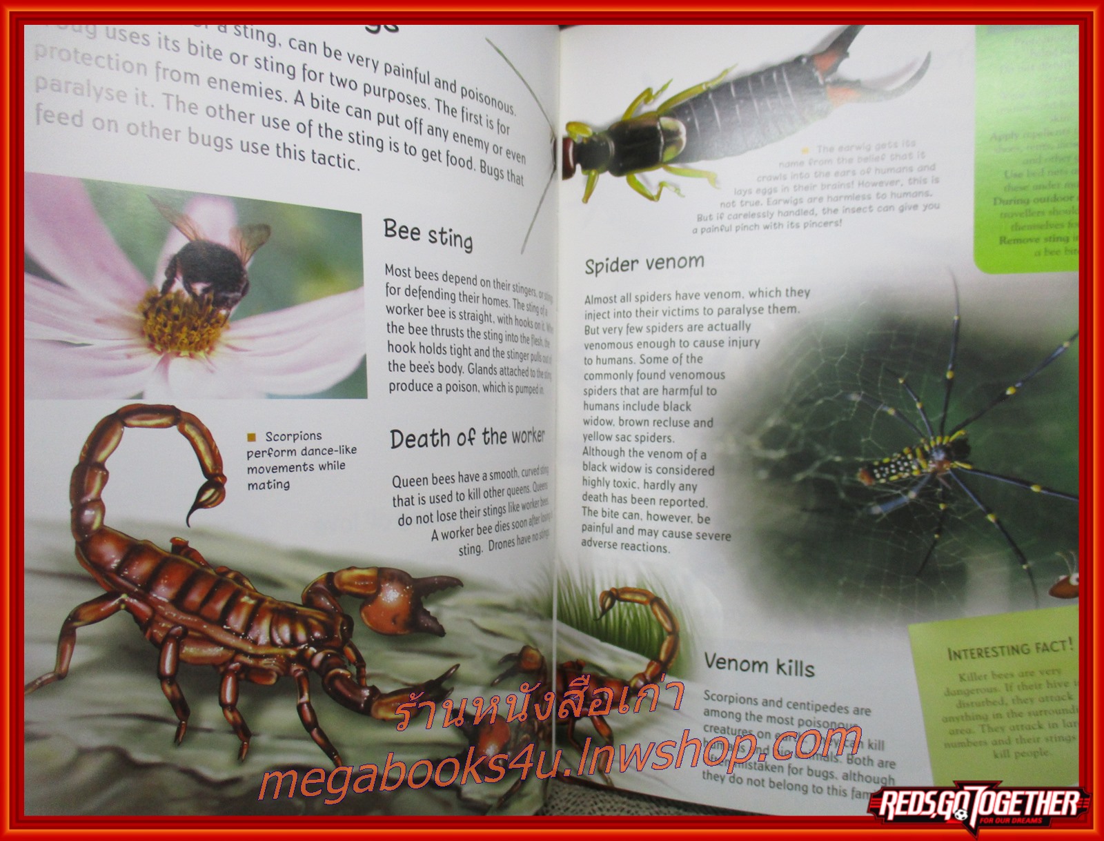 โลกของแมลง DISCOVER BUGS (ภาษาอังกฤษทั้งเล่ม)