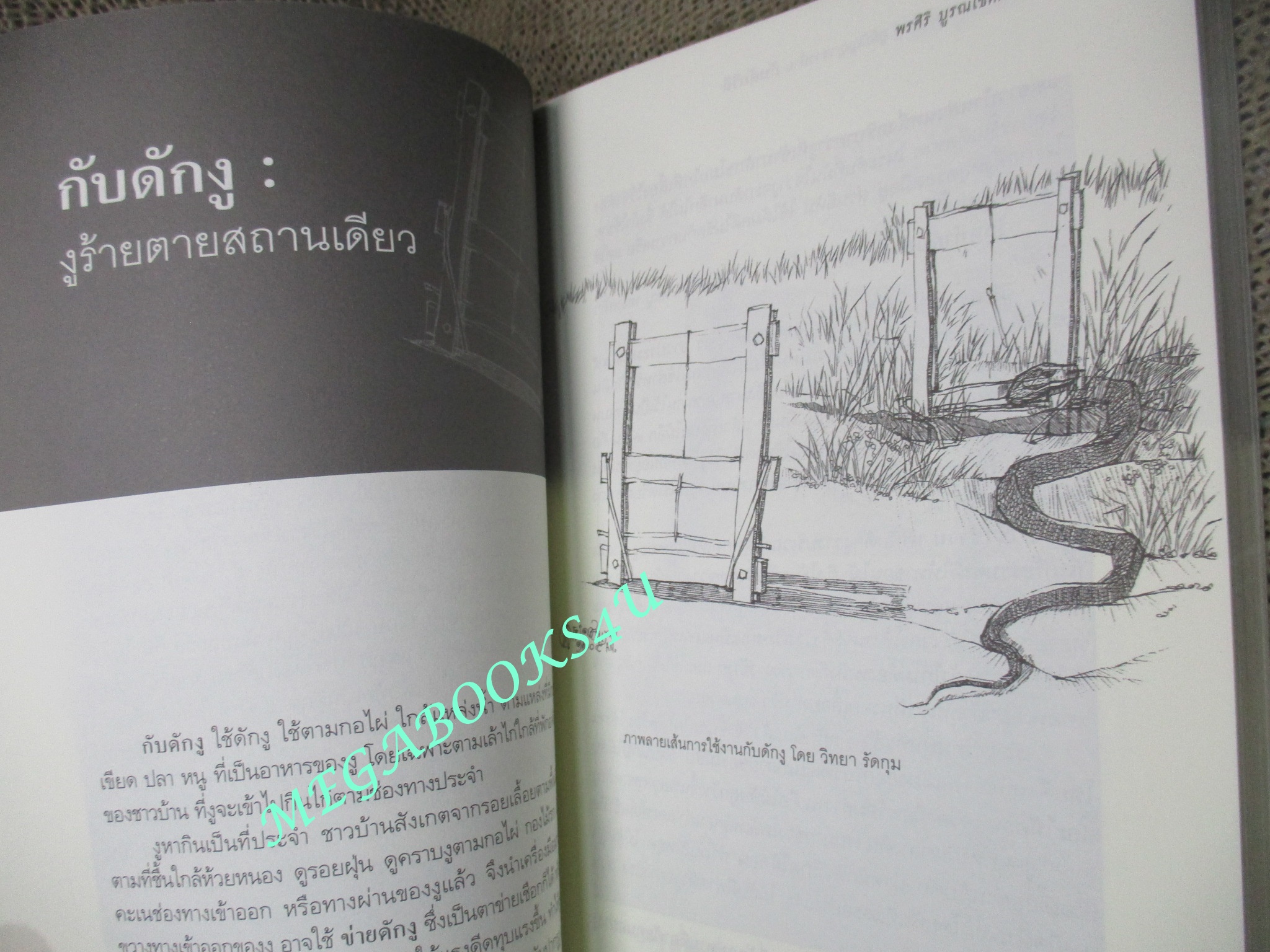 กับดักสัตว์ไทยประดิษฐ์ ภูมิปัญญาชาวบ้าน กับดักวิถี. ผู้เขียน: พรศิริ บูรณเขตต์. (มือสอง) (สภาพ85-95%)