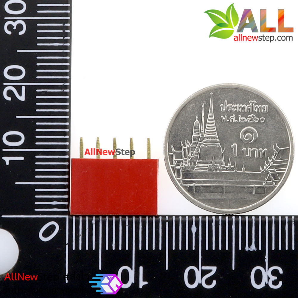 Pin header Female Header Single Row 2.54mm 5p Pin1x5 สีแดง