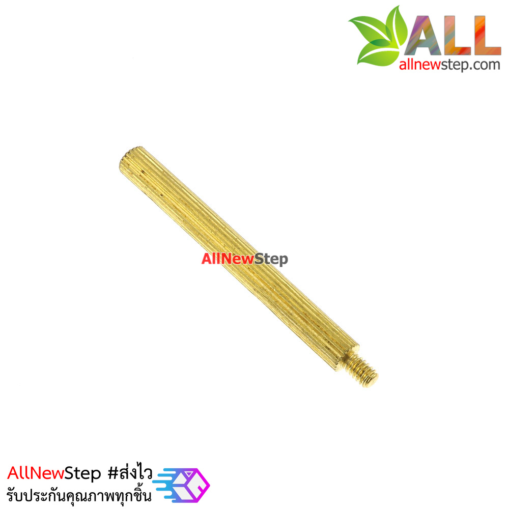 น็อตทองเหลือง NUT M2 ขนาด 28+3mm