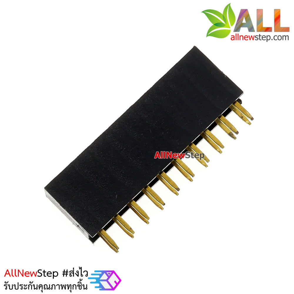 2.54mm pitch female double row female socket 2x10 pin