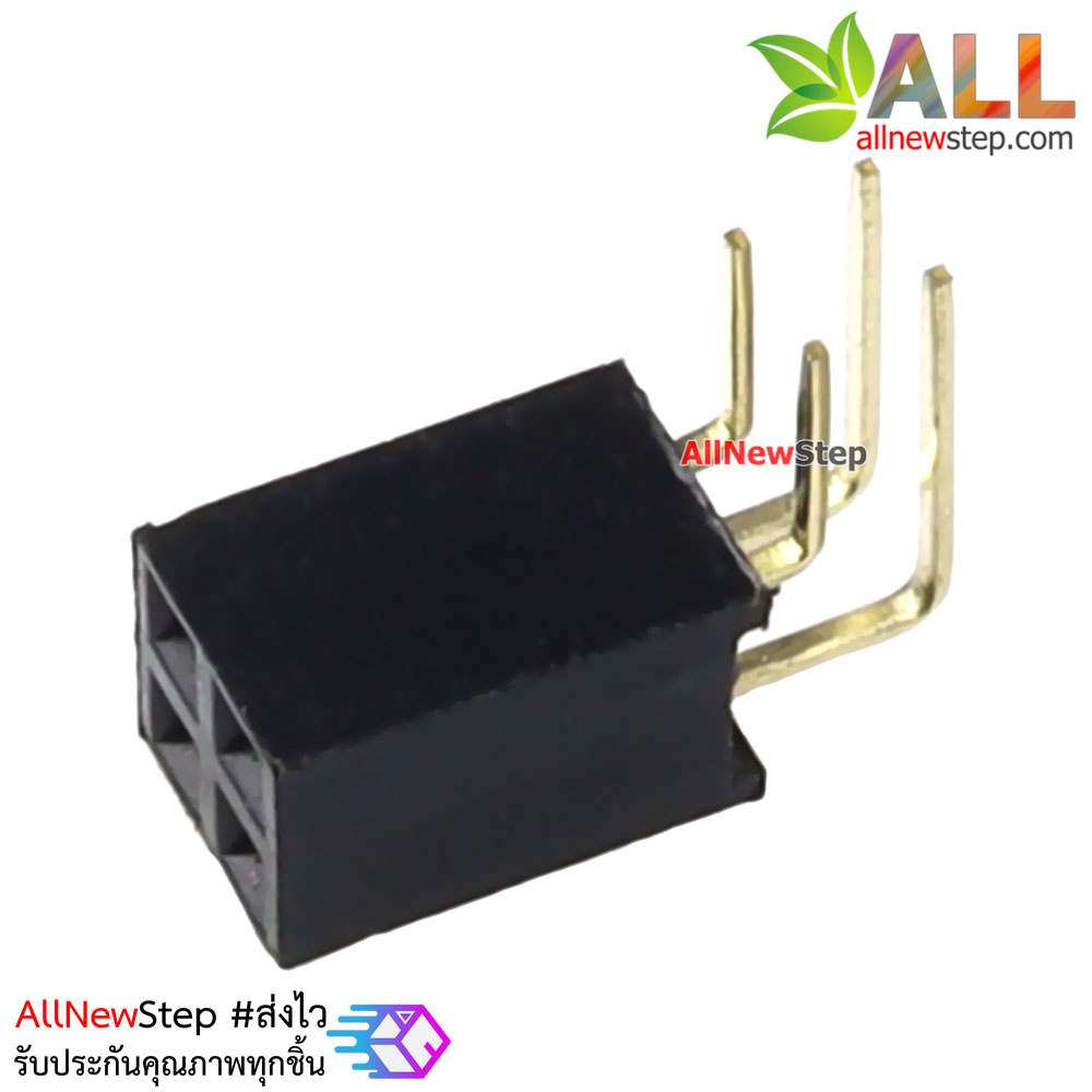 ขาก้างปลาตัวเมียแบบฉาก 2x2 ขา Double Row Hole Jack 2x2 PIN Header 2.54mm