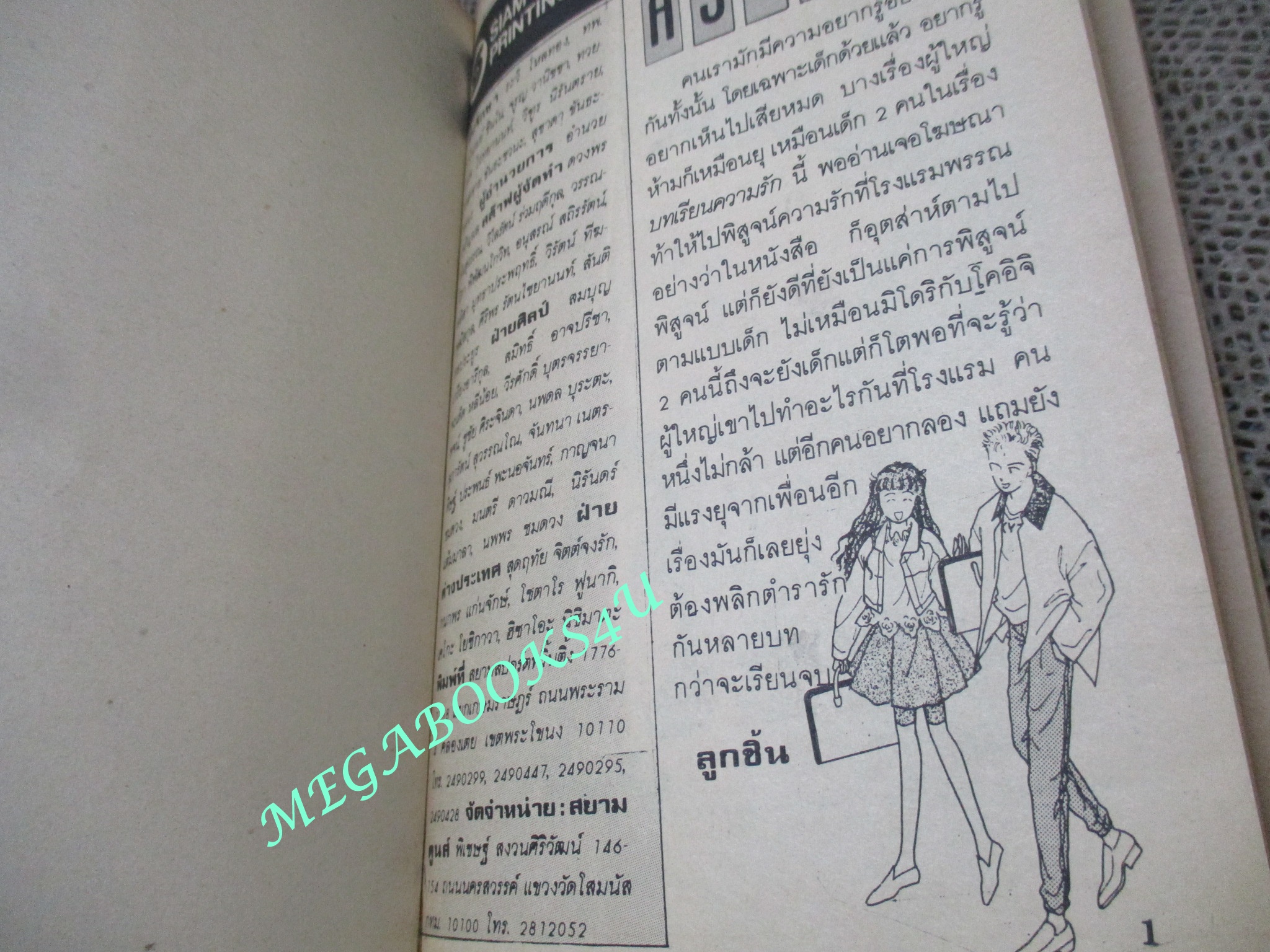 บทเรียนความรัก / TSURUOKA SHIZU / เล่มเดียวจบ / สยามฯ /