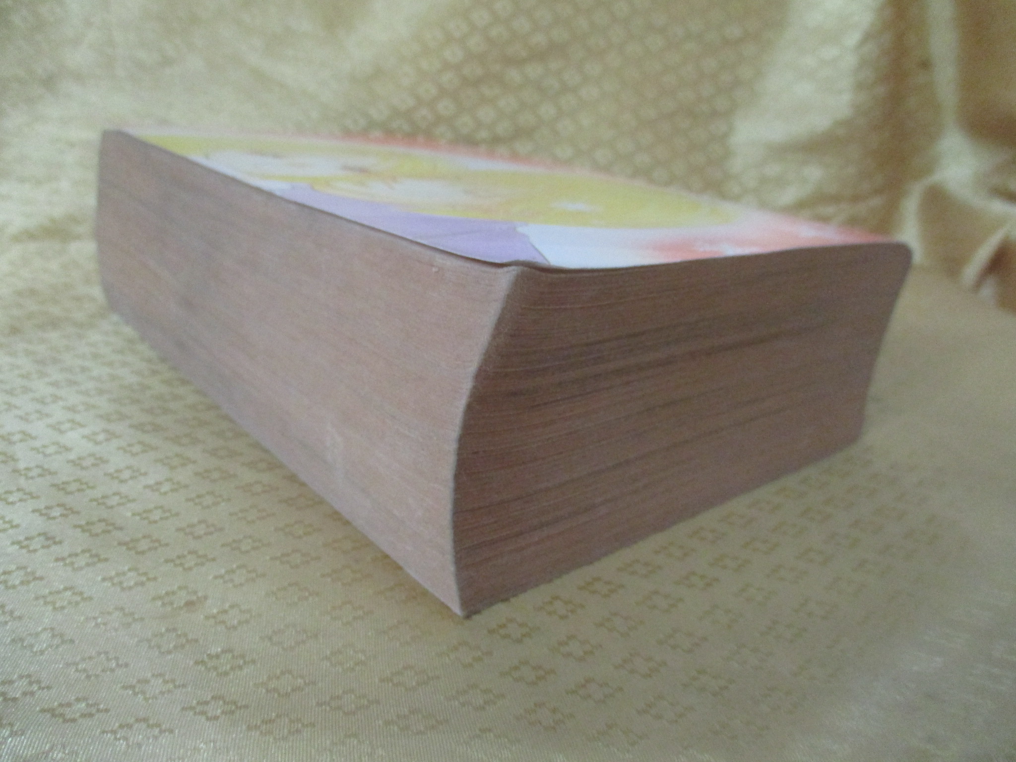 การ์ตูนบ้าน ดีไซเนอร์สาวยอดรัก เล่ม1 (2เล่มจบครบชุด) โดยMIYUKI KITAGAWA สนพ.หมึกจีน