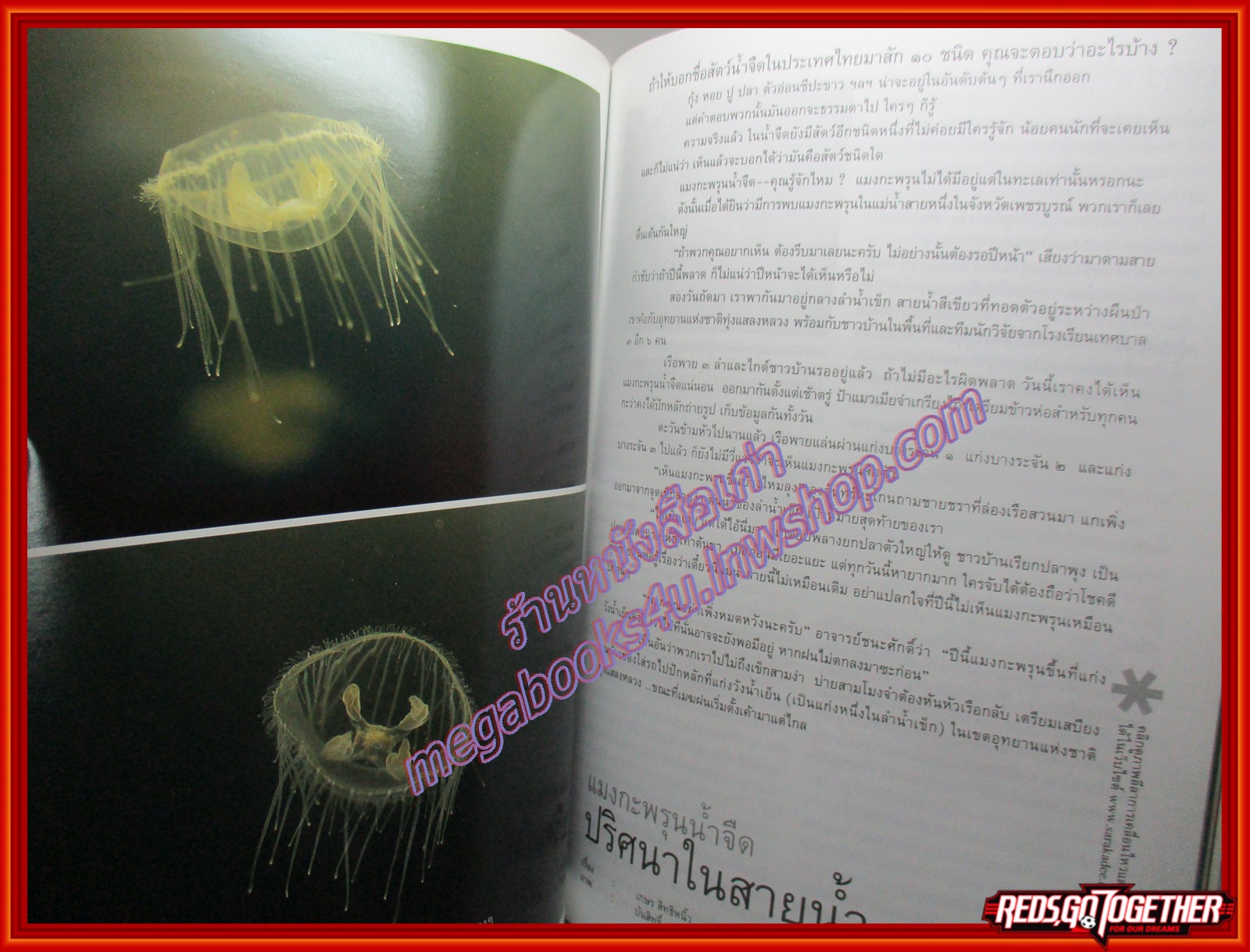 นิตยสารสารคดี ฉบับที่240 ปี2548 3จังหวัดชายแดนภาคใต้ แมงกะพรุนน้ำจืด
