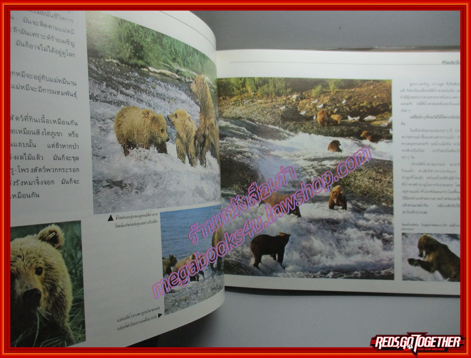 หนังสือ ชีวิตสัตว์โลก ขอแนะนำท่านรู้จักกับชีวิตสัตว์ทั่วโลก โดย อรรถ พันธุ์ขจร ตำหนิ ซ่อมสันปกติดเทป