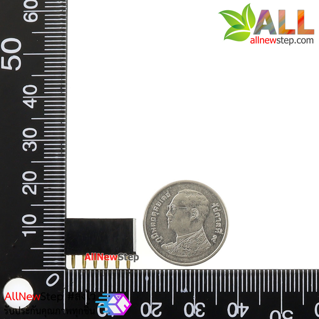 2.54mm pitch female double row female socket 2x6 pin