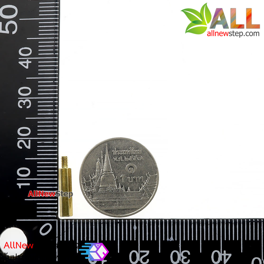 น็อตทองเหลือง NUT M2 ขนาด 12+3mm