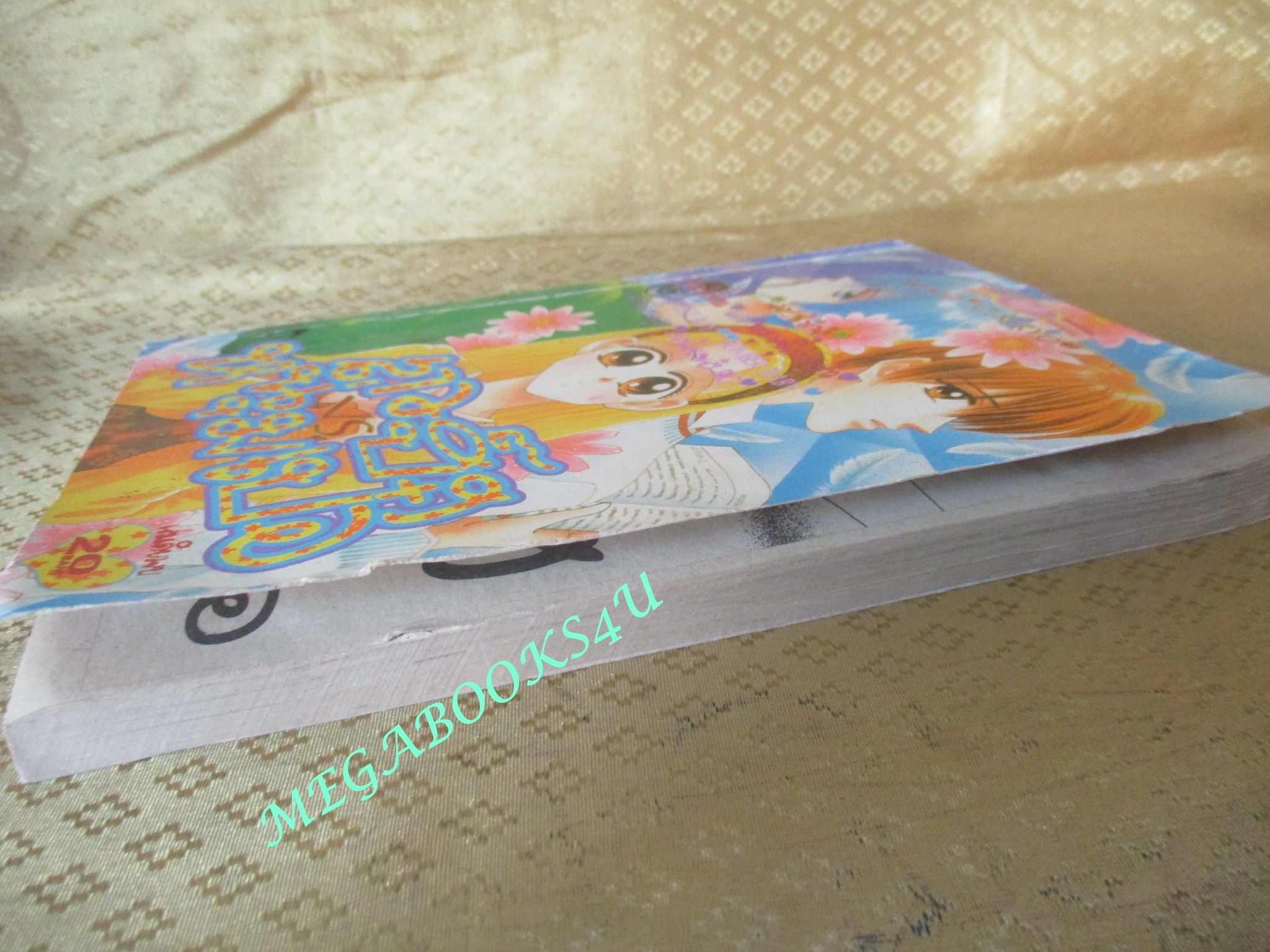 การ์ตูนบ้าน สาวปิ๊งหนุ่มเป๋อ - AZUKI RYO / เล่มเดียวจบ / หมึกจีน /