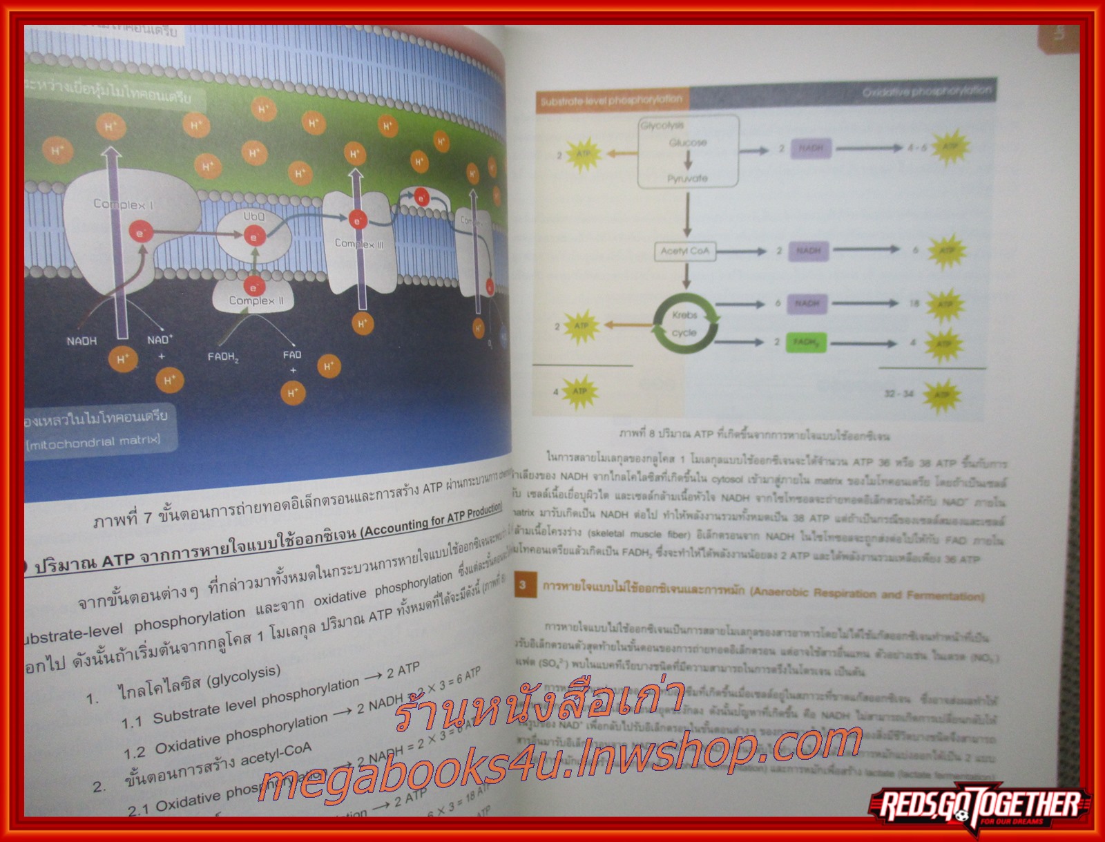 หนังสือชีวะ หนังสือชีววิทยา Biology ชีววิทยา หนังสือเรียน เตรียมสอบ /ศุภณัฐ ไพโรหกุล/ ริมปกเยินเล็กน้อย