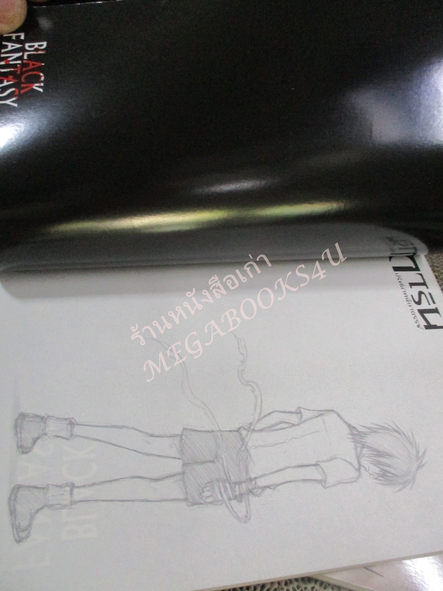 การ์ตูน การิน ปริศนาคดีอาถรรพ์ ภาค คดีที่ 3 เกมลองของ สวนสนุกต้องสาป (ภาคแรก+ภาคจบ รวม2เล่ม) / อัยย์ / Punica /