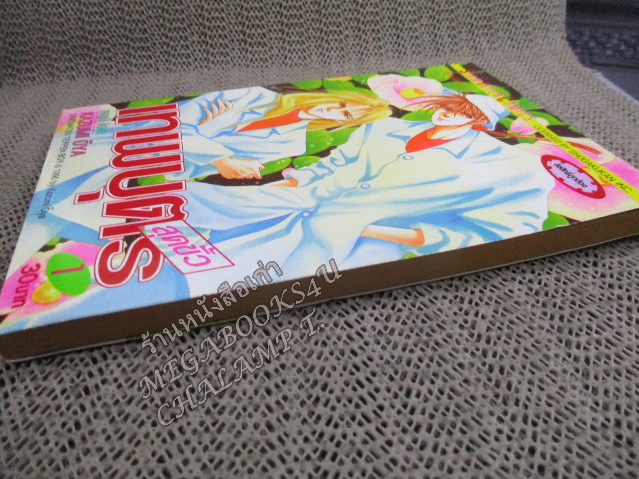 เทพบุตรสุดขั้ว / KAZUMI OYA / ครบชุด 5 เล่มจบ สนพ.สยามฯ