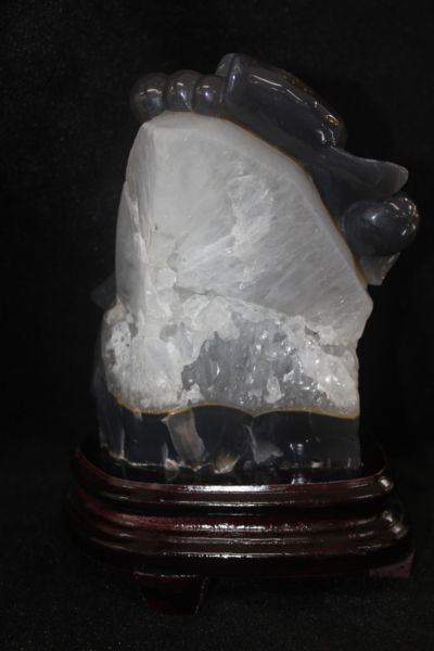 ปลาหลี่ฮื้อ