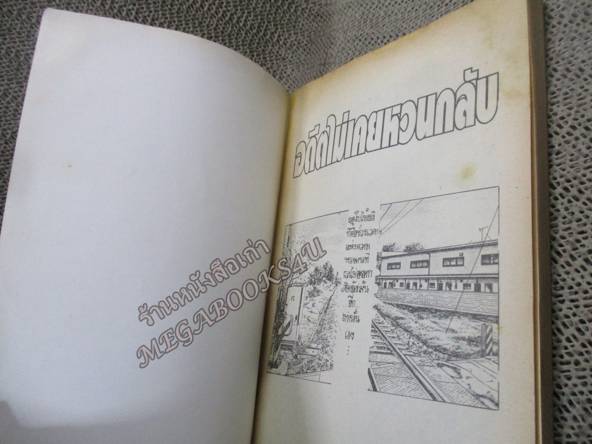 การ์ตูนบ้าน XL LOVE / MITSURU ATACHI / สนพ. MR.มิสเตอร์