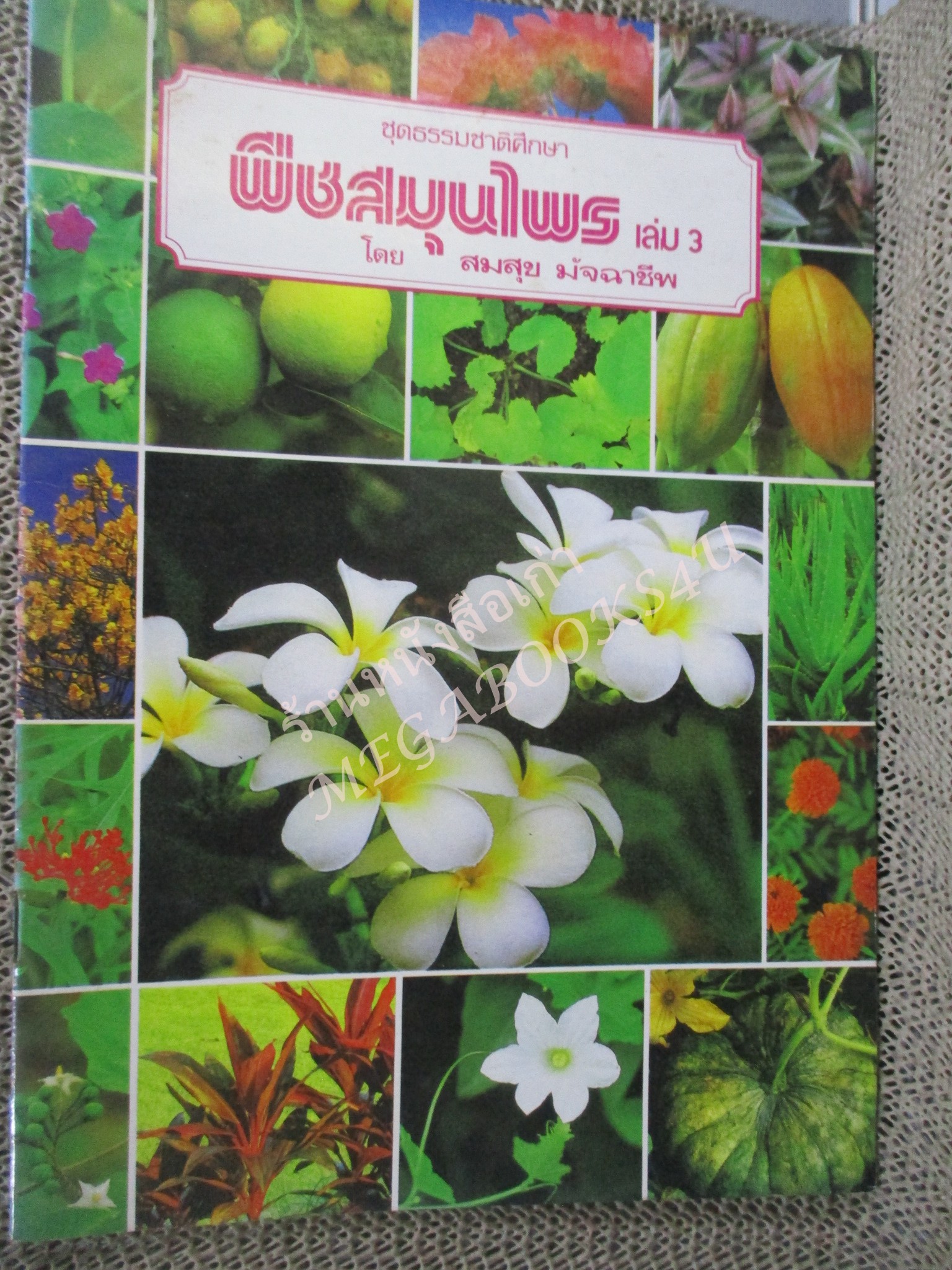 ธรรมชาติศึกษาชุด พืชสมุนไพร เล่ม 1-4 / พืชมีพิษ 1 เล่ม ทั้งหมด 5 เล่ม - สมสุข มัจฉาชีพ