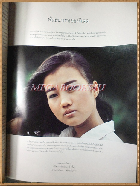 นิตยสารไฟกลางคืน เล่มที่038 ปี2529 สภาพดีมาก