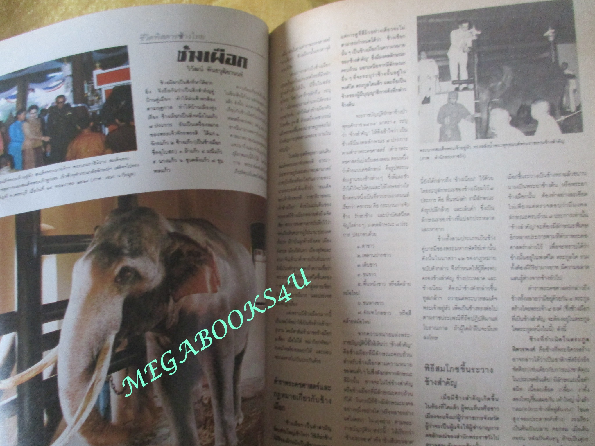 นิตยสารสารคดี ฉบับที่053 กรกฏาคม 2532 ปีที่05 ช้างไทย,ศูนย์ฝึกลูกช้าง,อาหารอีสาน,