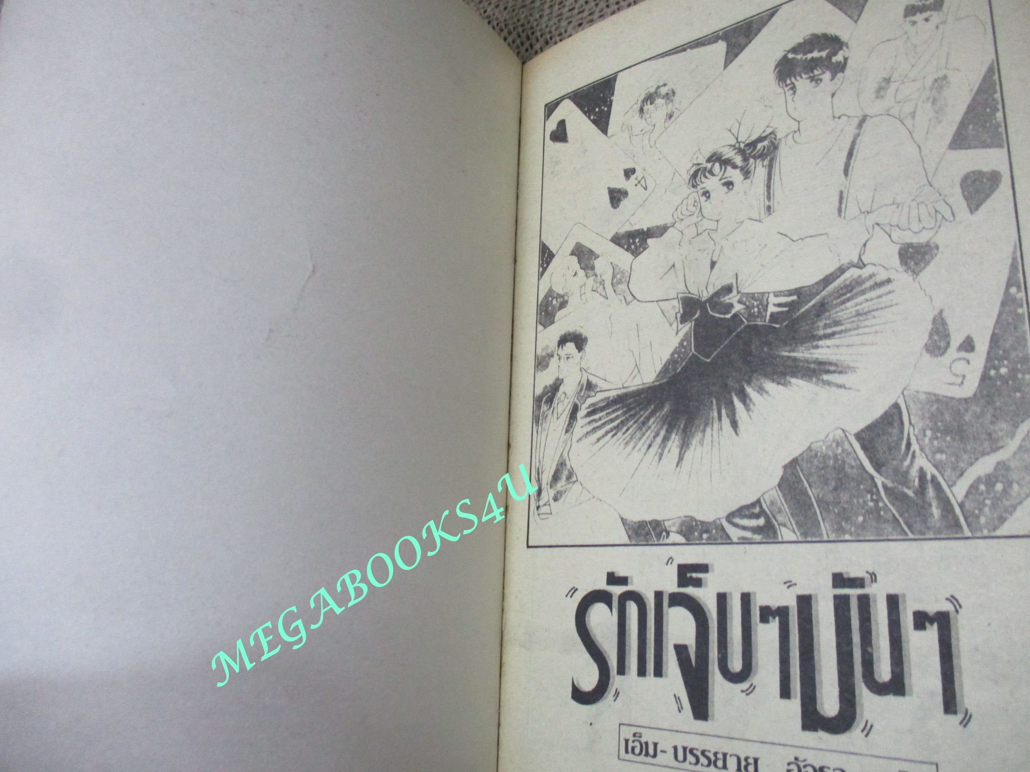 รักเจ็บๆมันๆ / เล่มเดียวจบ / วิบูลย์กิจ