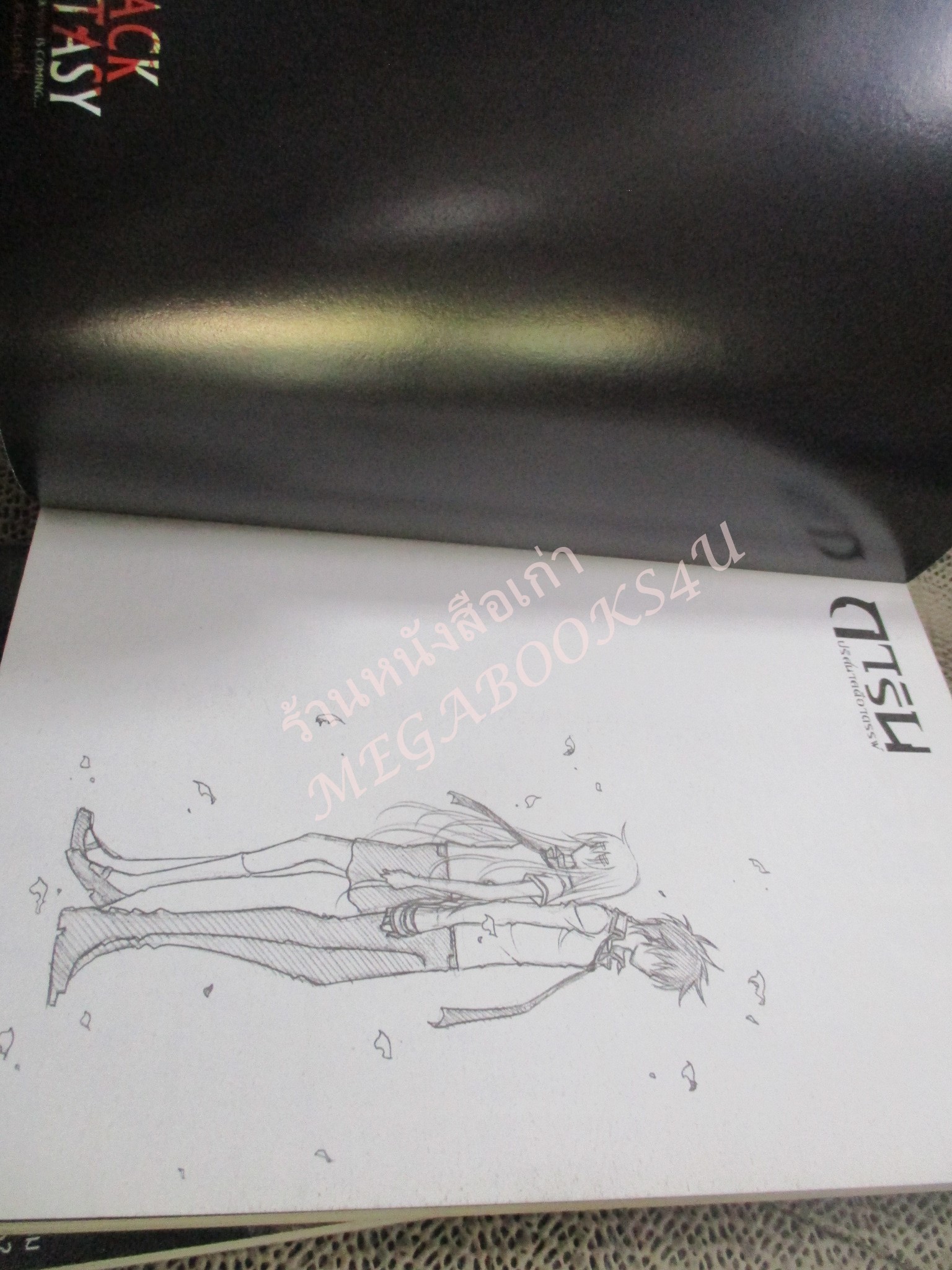 การ์ตูน การิน ปริศนาคดีอาถรรพ์ ภาค คดีที่ 8 ผู้ตามล่าวิถีมรณะ (ภาคแรก+ภาคจบ รวม2เล่ม) / อัยย์ / Punica /