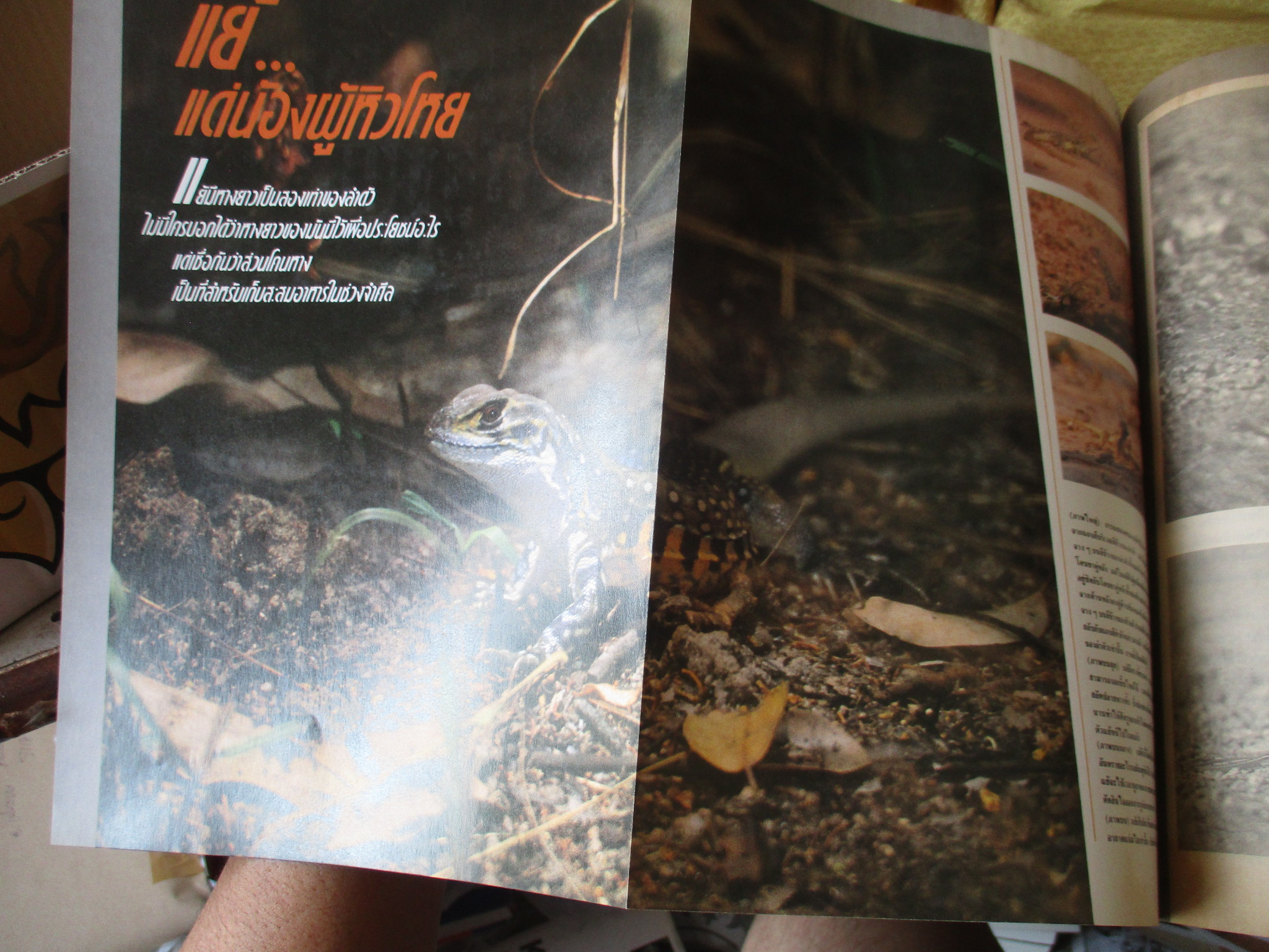 นิตยสารสารคดี ฉบับที่052 2532 สิบสองปันนา แย้ โบราณคดีใต้น้ำ