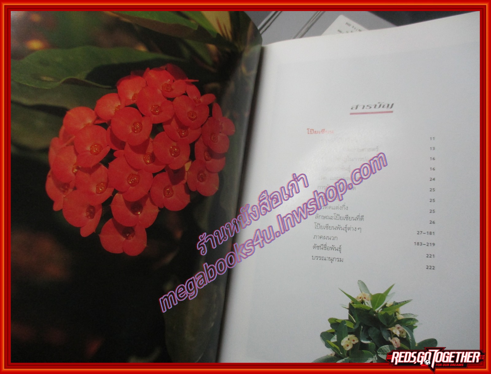 โป๊ยเซียน ไม้ดอกเสี่ยงทาย เล่ม1 โดย อุไร จิรมงคลการ