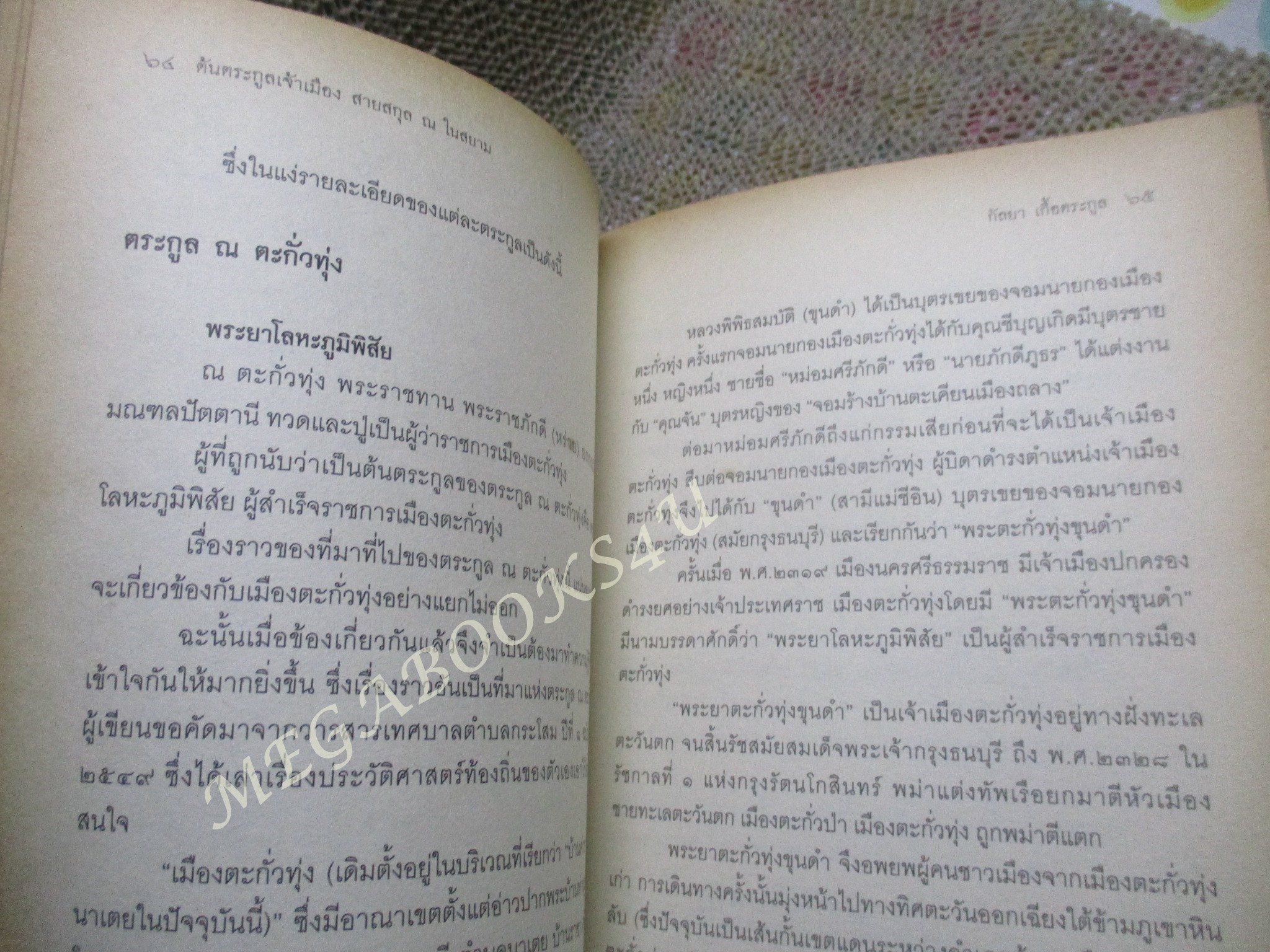 ต้นตระกูลเจ้าเมือง สายสกุล ณ ในสยาม ผู้เขียน: กัลยา เกื้อตระกูล / มีจุดเหลืองประปราย