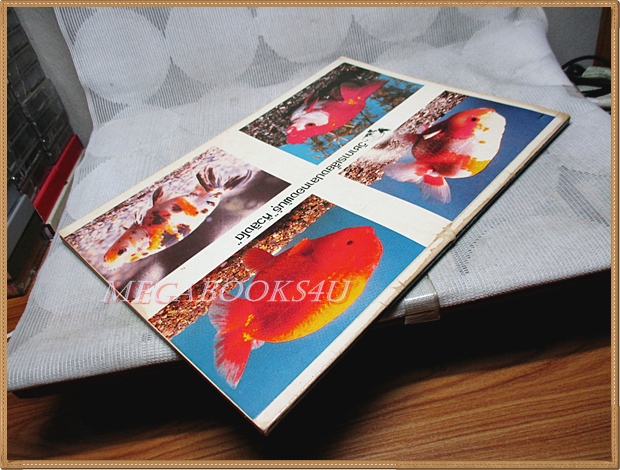 การเลี้ยงปลาทองพันธุ์หัวสิงโต โดย ประยูร จรรยาวงษ์