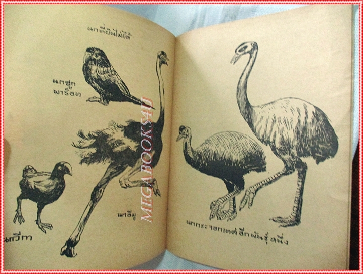 หนังสือมือสอง หลักการเขียนภาพคนและสัตว์ โดยอาจารย์ เสน่ห์ ธนารัตน์สฤษดิ์ ปี2516