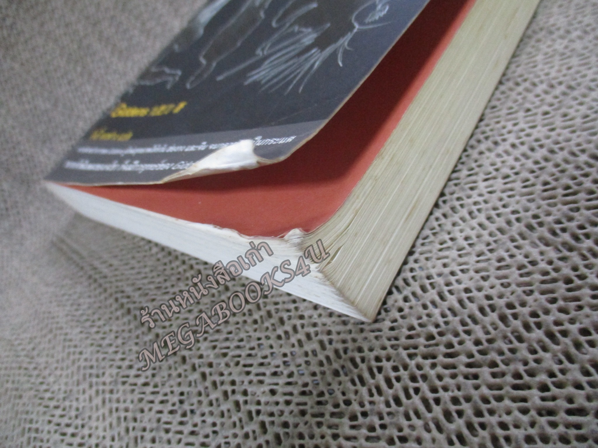 กังฟู จอมยุทธ์หลุดโลก /ของ Giddens. /โจอี้ ตงฟาง แปล./ สนพ.มติชน ตำหนิ มุมปกด้านล่างเยินมีรอยพับ เปื้อนฝุ่น