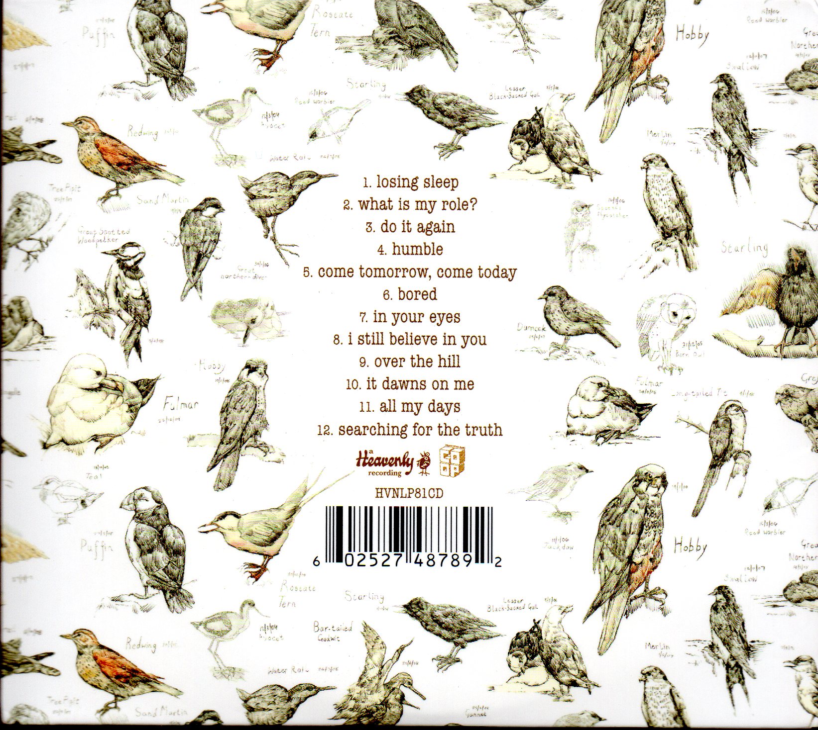 CD,Edwyn Collins - Losing Sleep (2010)