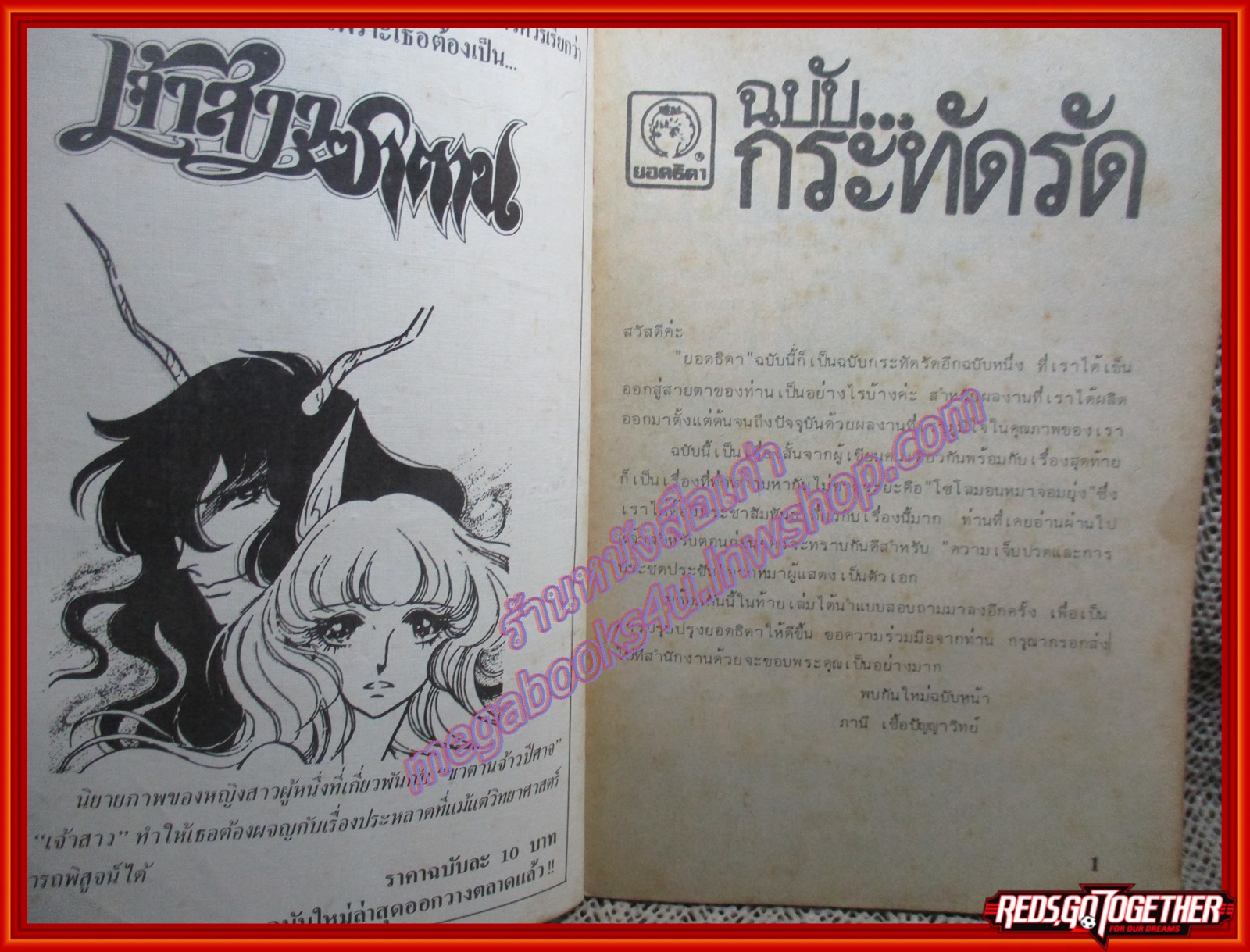 การ์ตูนบ้าน รักผิดสูตร เล่มเดียวจบ