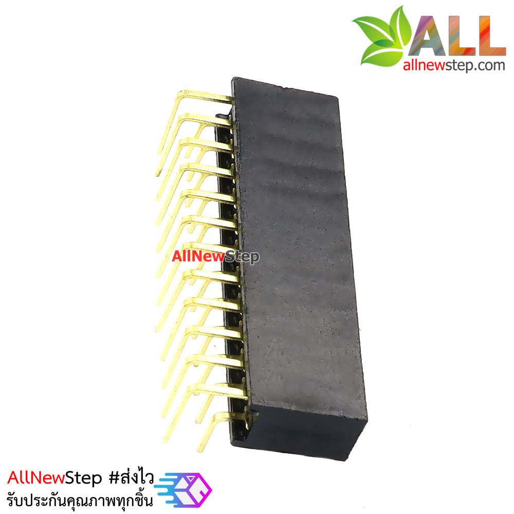 ขาก้างปลาตัวเมียแบบฉาก 2x12 ขา Double Row Hole Jack 2x12PIN Header 2.54mm