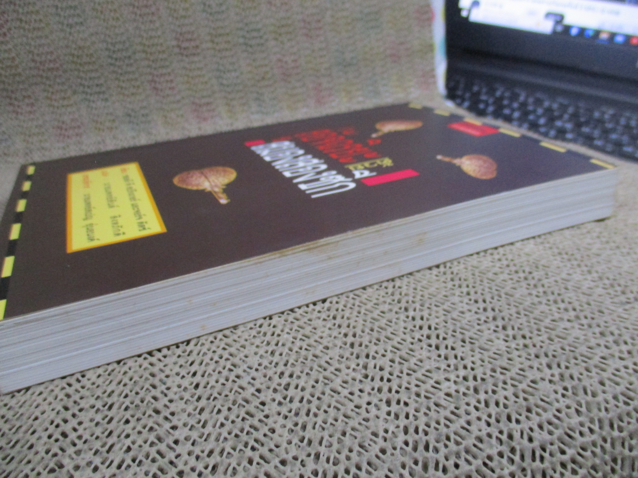 สู่อัจฉริยะด้วยสมองสองซีก / ซอลลี พี สปริงเกอร์ และจอร์จ ดัตช์ / ผู้แปล นายแพทย์ สันต์ สิงหภักดี