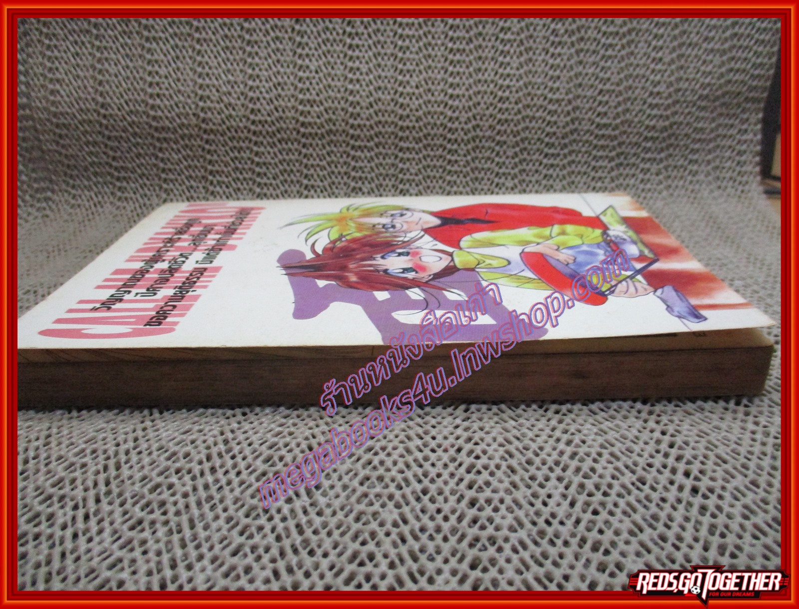 การ์ตูนบ้าน เรียกข้าว่านักรบผู้ยิ่งใหญ่ เล่มเดียวจบ