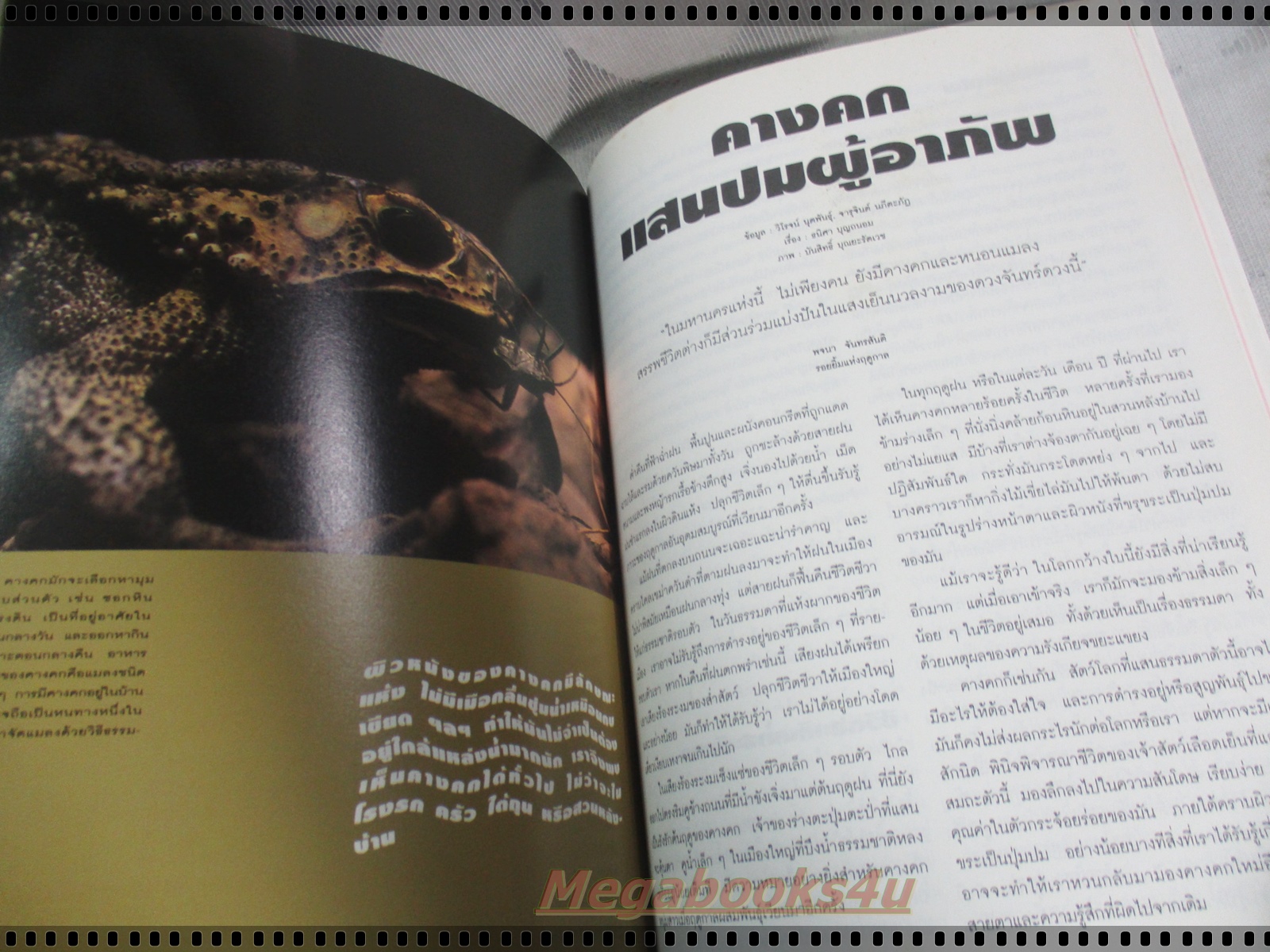 นิตยสารสารคดี ฉบับที่118 ปี2537 +แถมนักษัตรปีมะเมีย วิถีชาวนา โยเซมิติ คางคก ปัตตานี