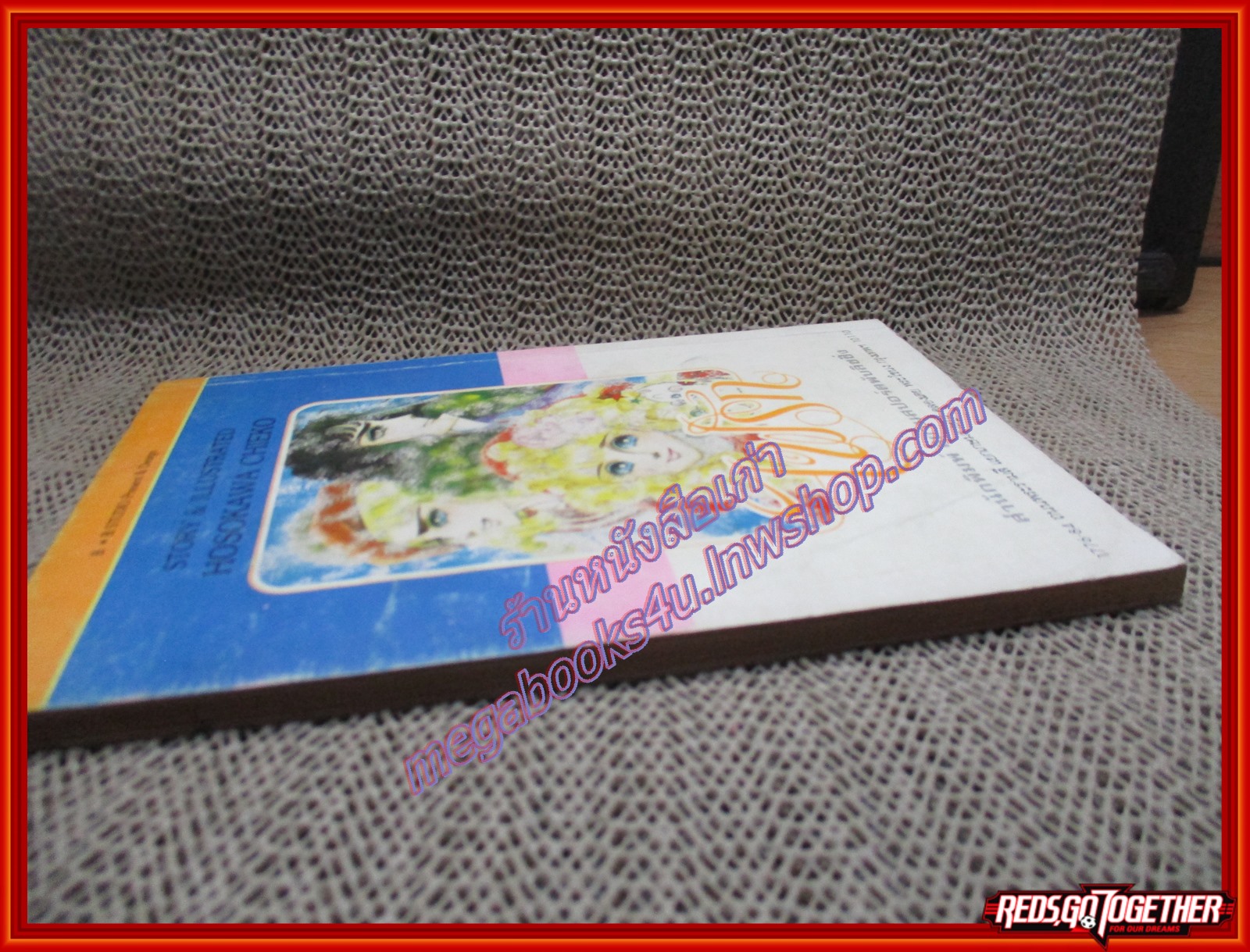 การ์ตูนบ้าน ไฟรัก เล่ม11 โดย โฮโชคาวะ จิเอโกะ สนพ.สยามฯ (17เล่มจบ)