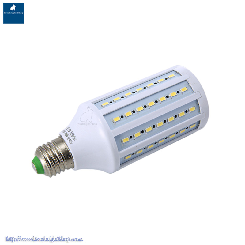 LT-1203 Professional Light Tent Kit