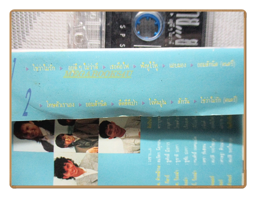 เทปเพลงไทยสากล วงชาย...ย ชุด ดีด สี ตี เป่า