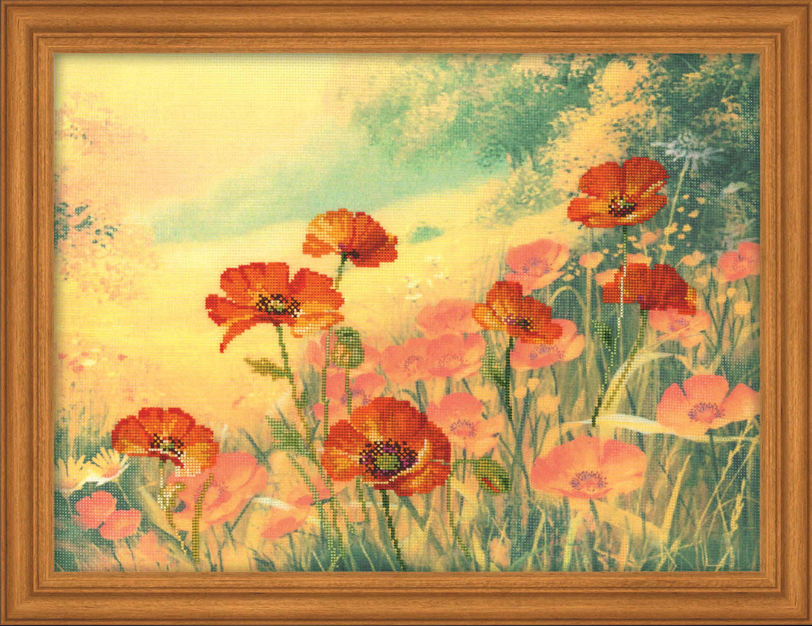Riolis Field of Poppies
