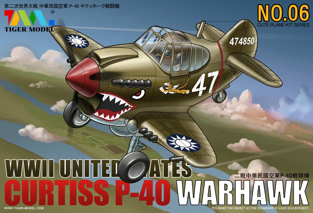 WW II UNITED STATES CURTISS P-40 WARHAWK FIGHTER