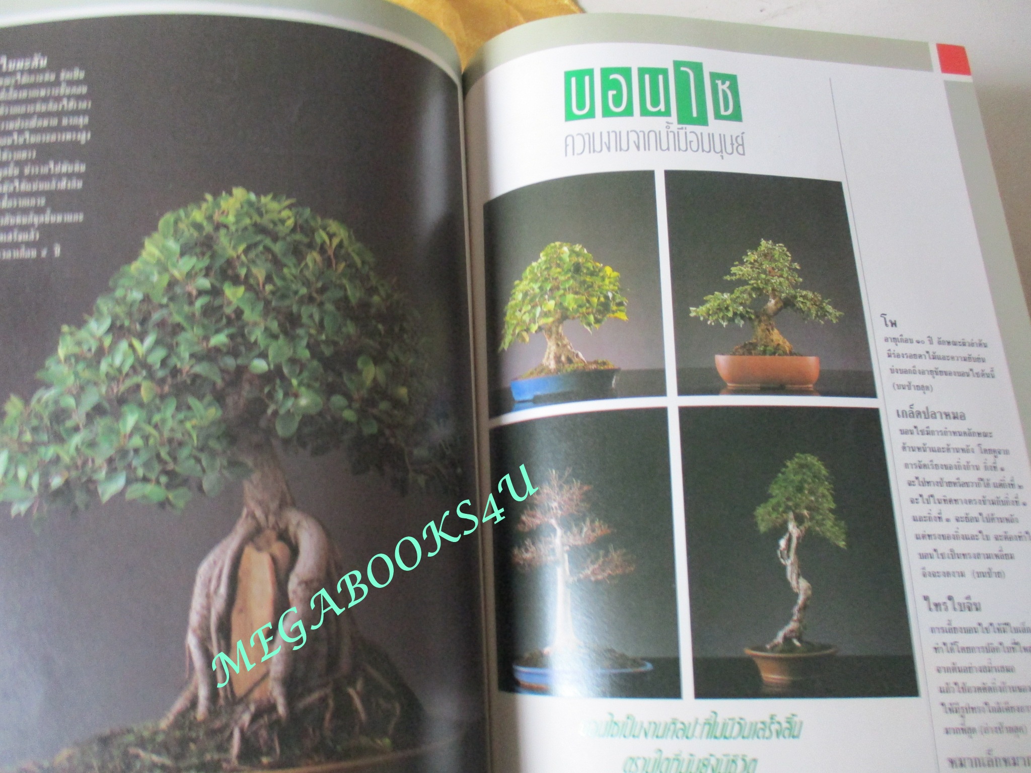 นิตยสารสารคดี ฉบับที่056 ตุลาคม 2532 UDT วีรบุรุษใต้น้ำ นักทำลายใต้น้ำ แมงดาทะเล บอนไซ