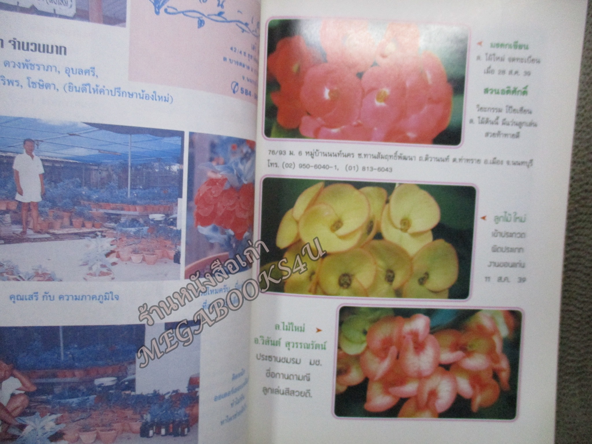 นิตยสารประกายเซียน คู่มือการปลูกโป๊ยเซียน ฉบับที่02 ปี2539 (มือสอง) (สภาพ85-95%)