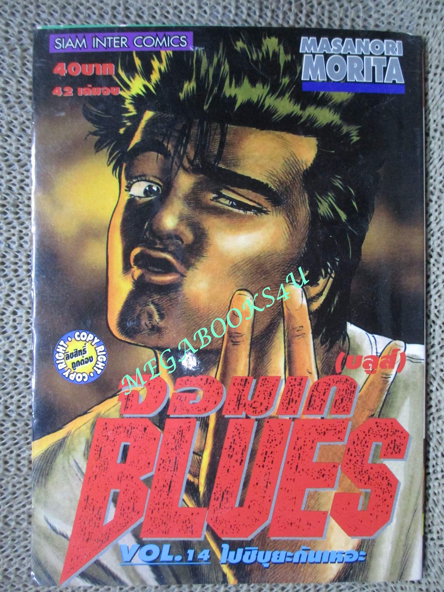 การ์ตูนบ้าน จอมเก BLUES (บูลส์) เล่ม14 / MASANORI MORITA สนพ.สยาม