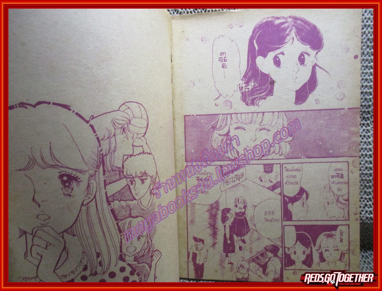 การ์ตูนบ้าน บอยฮันท์ เล่มเดียวจบ สนพ.ยอดธิดา