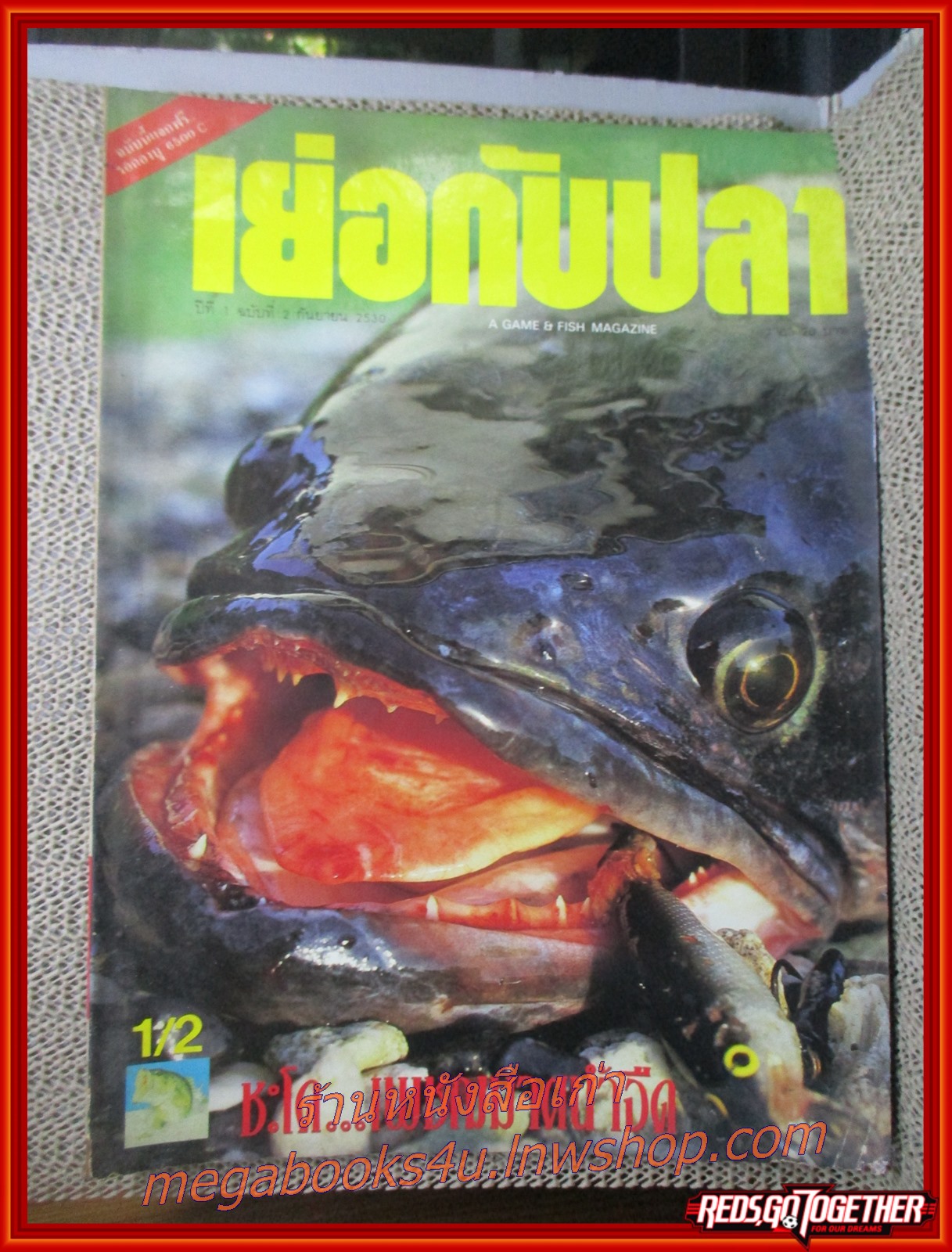 นิตยสาร เย่อกับปลา ฉบับที่002 ปี2530 ปก ชะโด เพชฌฆาตน้ำจืด